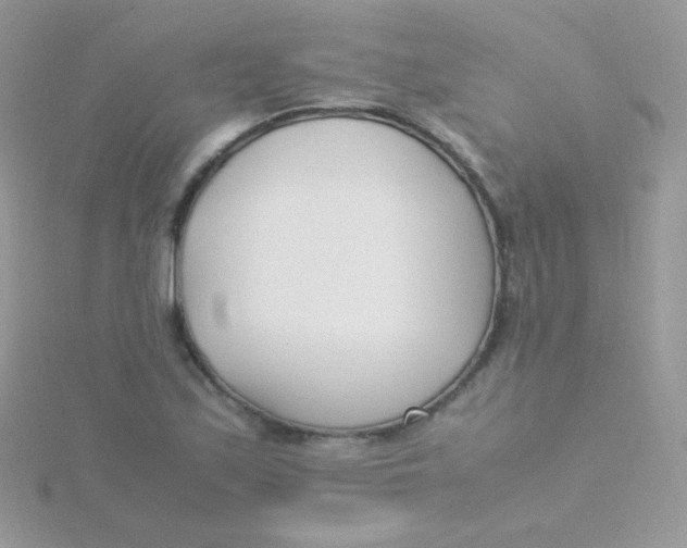 X0000115501171200911271403