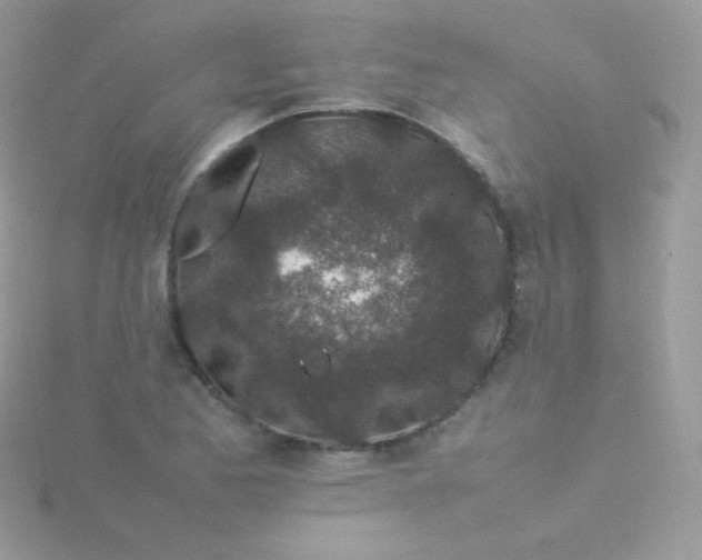 X0000115501173200911271403