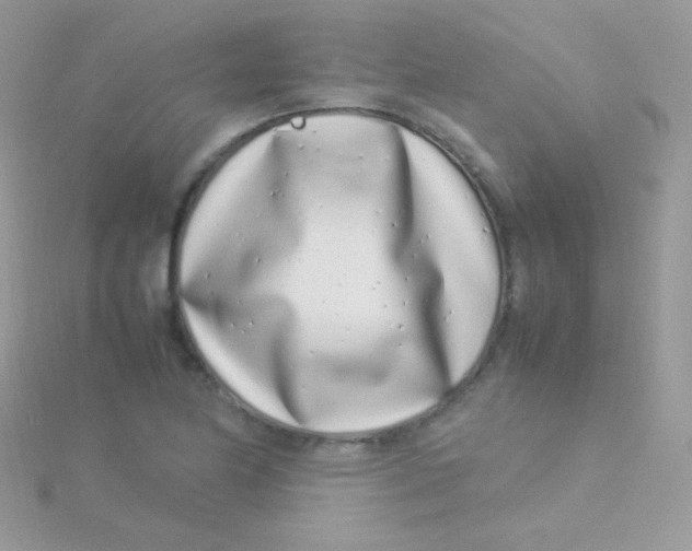 X0000115501174200911271403