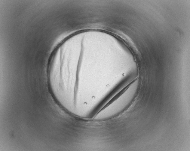 X0000115501176200911271403