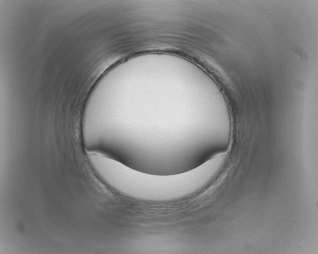 X0000115501177200911271403