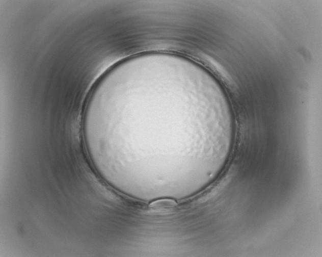 X0000115501178200911271403