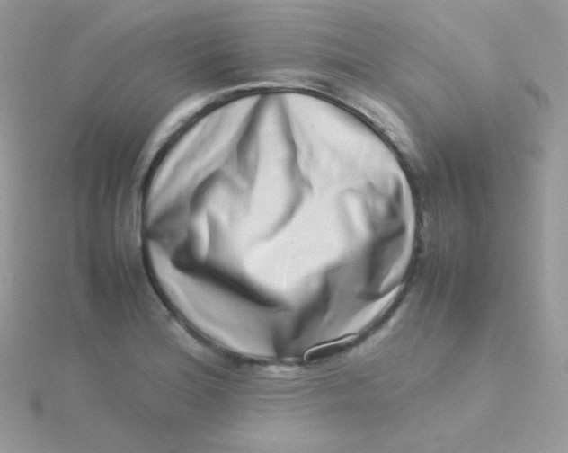 X0000115501180200911271403