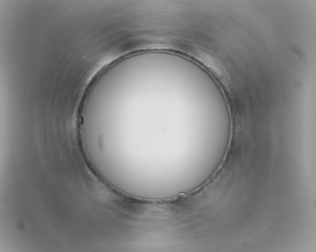 X0000115501181200911271403