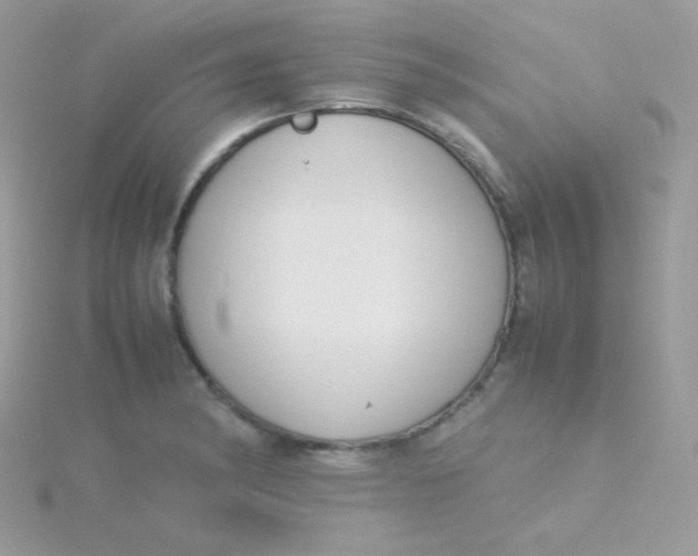 X0000115501182200911271403