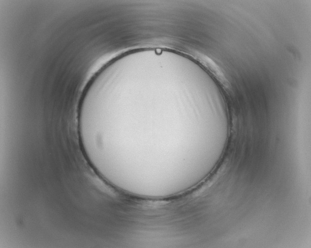 X0000115501184200911271403