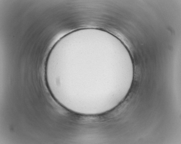 X0000115501187200911271403