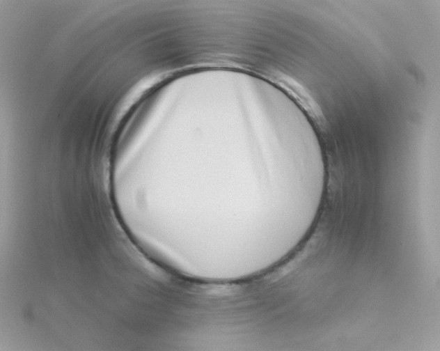 X0000115501188200911271403