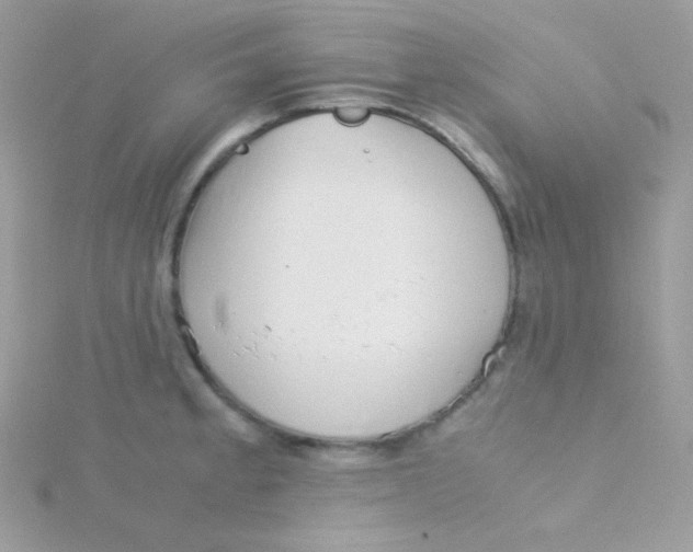 X0000115501189200911271403