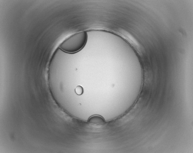 X0000115501190200911271403