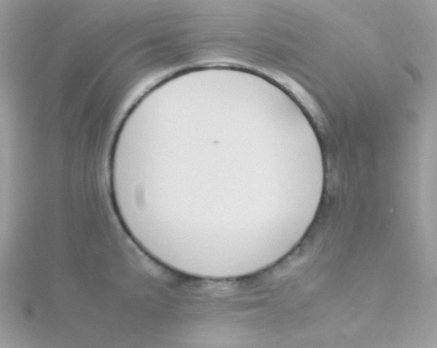 X0000115501191200911271403