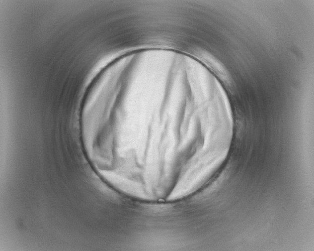 X0000115501192200911271403