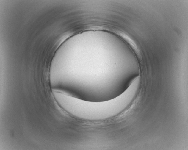 X0000115501193200911271403