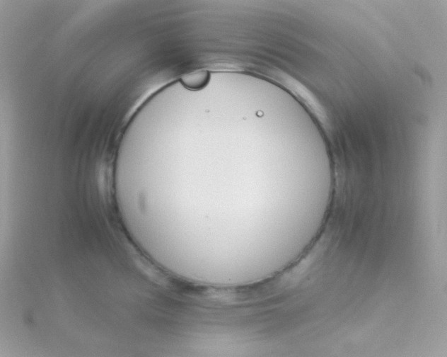 X0000115501194200911271403