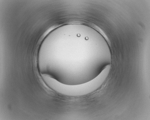 X0000115501195200911271403