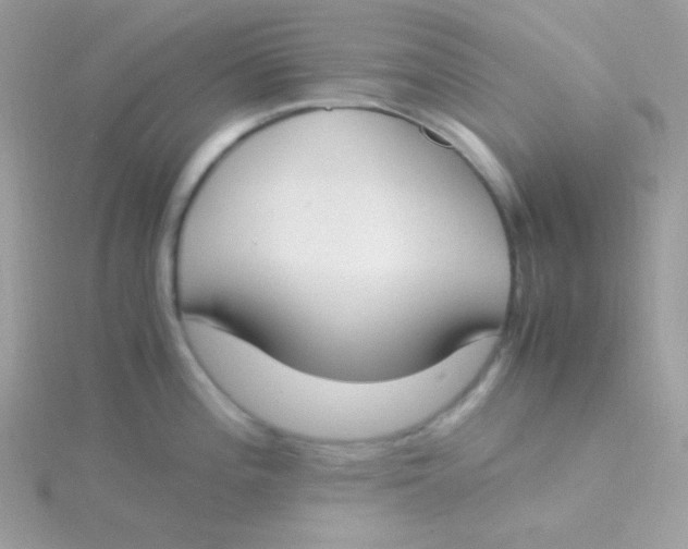 X0000115501196200911271403