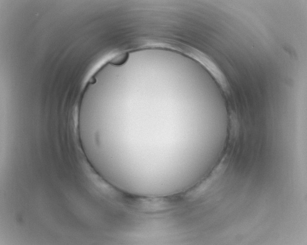 X0000115501198200911271403