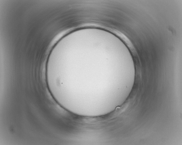 X0000115501199200911271403