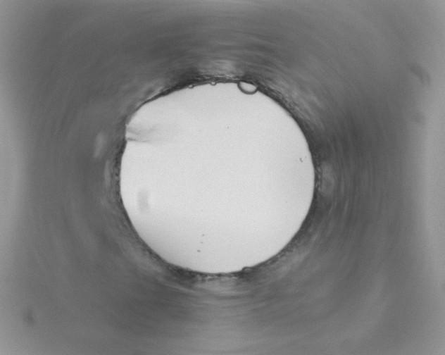 X0000115501201200911271402