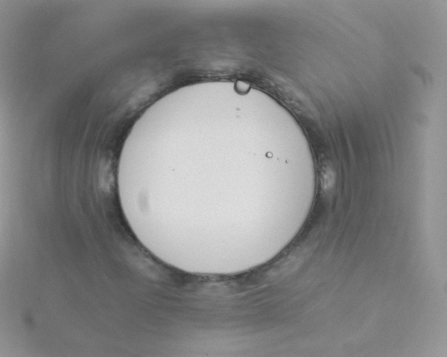 X0000115501204200911271402