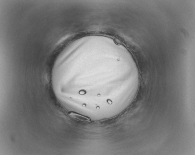 X0000115501206200911271402