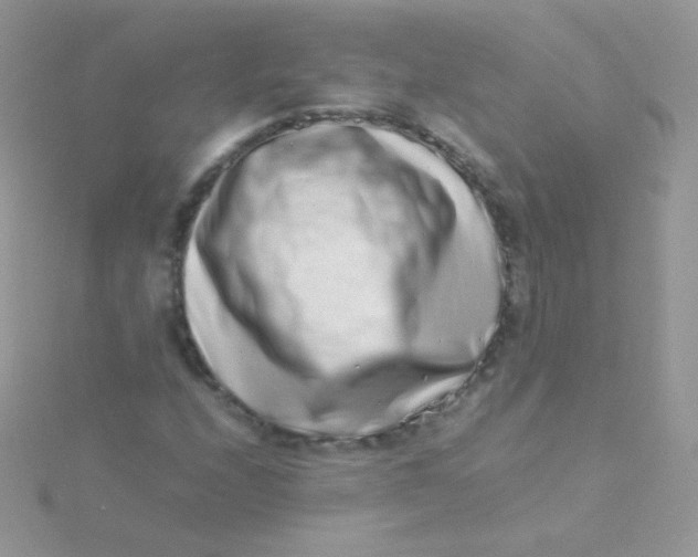 X0000115501208200911271402