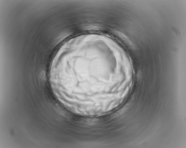 X0000115501209200911271402