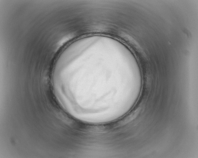 X0000115501210200911271402