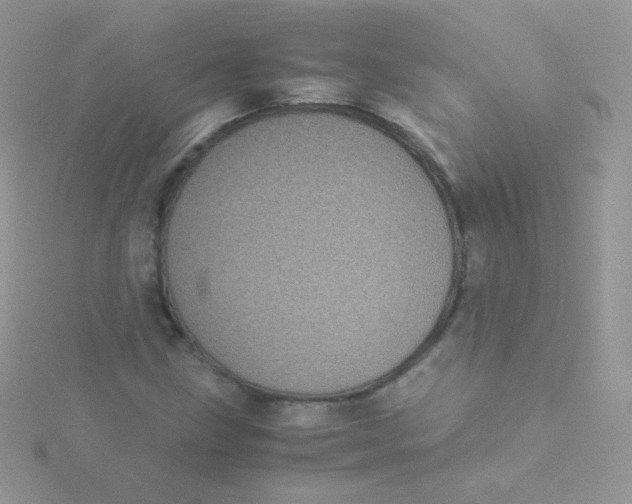 X0000115501211200911271402