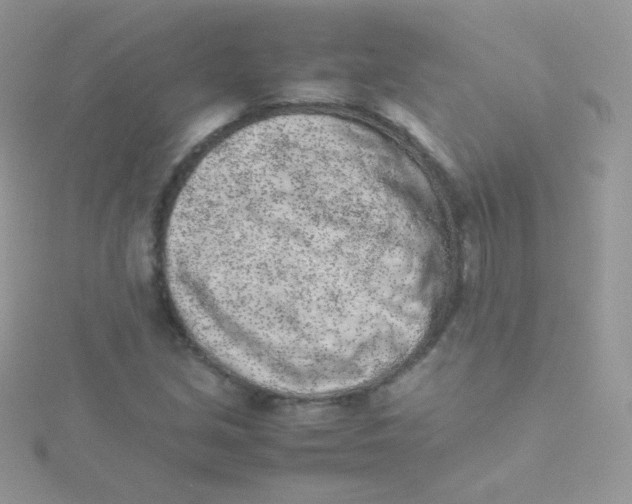 X0000115501213200911271402