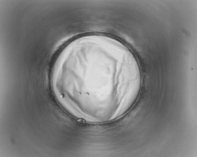 X0000115501214200911271402