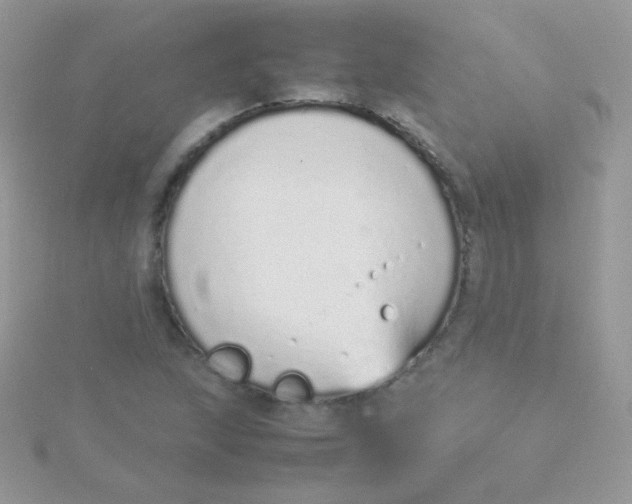 X0000115501215200911271402