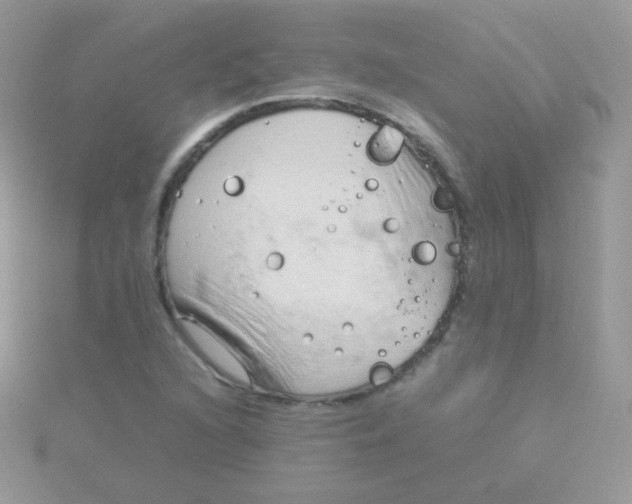 X0000115501216200911271402