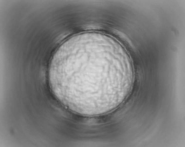 X0000115501217200911271403