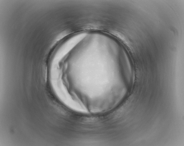 X0000115501219200911271403