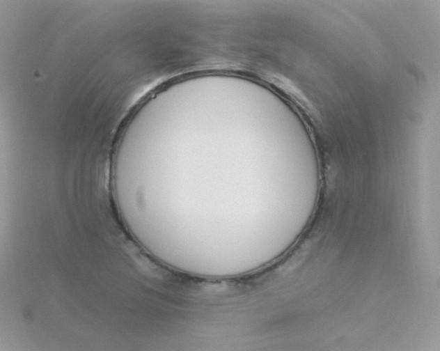 X0000115501220200911271403