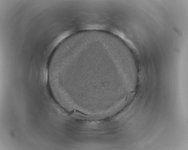 X0000115501221200911271403