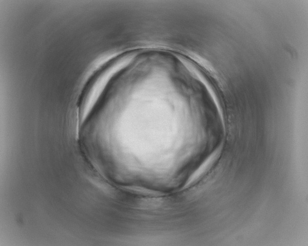 X0000115501223200911271403