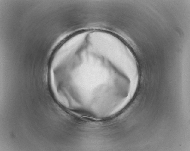 X0000115501224200911271403