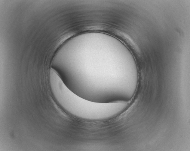 X0000115501225200911271403