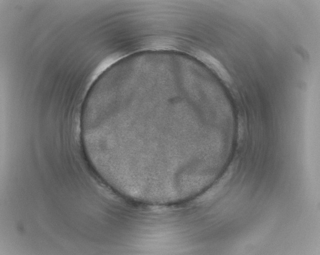 X0000115501226200911271403