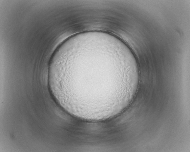 X0000115501227200911271403