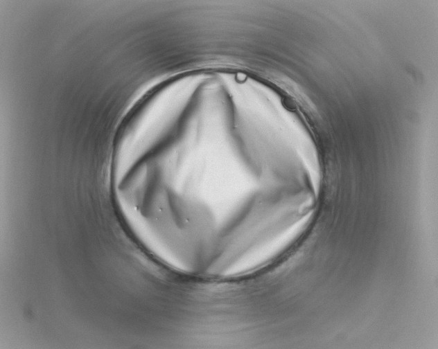 X0000115501228200911271403