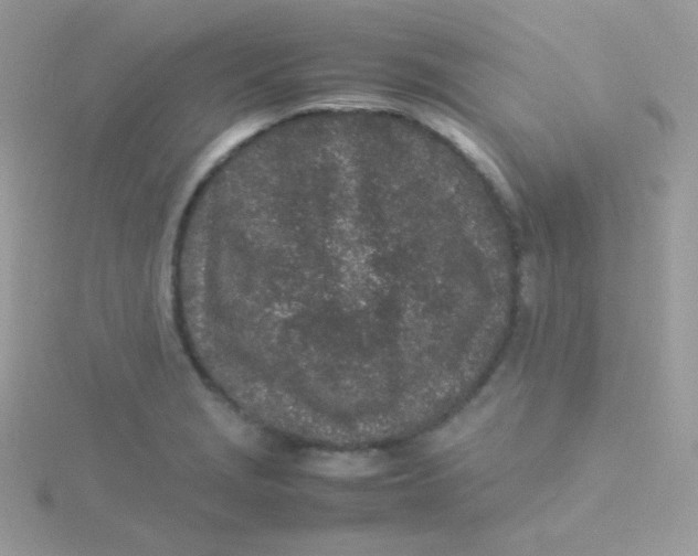 X0000115501229200911271403