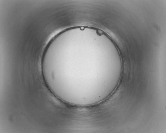 X0000115501230200911271403