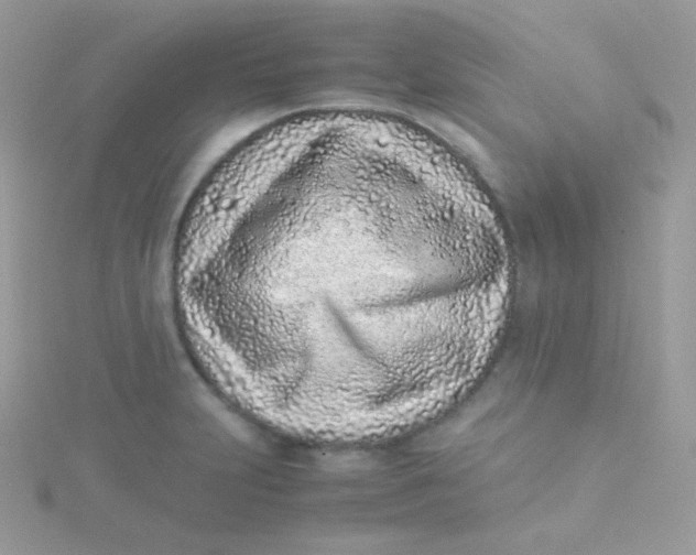 X0000115501231200911271403