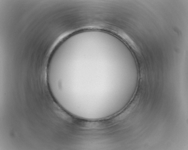 X0000115501232200911271403