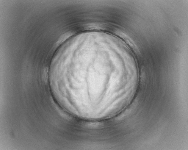 X0000115501233200911271403