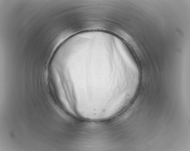 X0000115501234200911271403