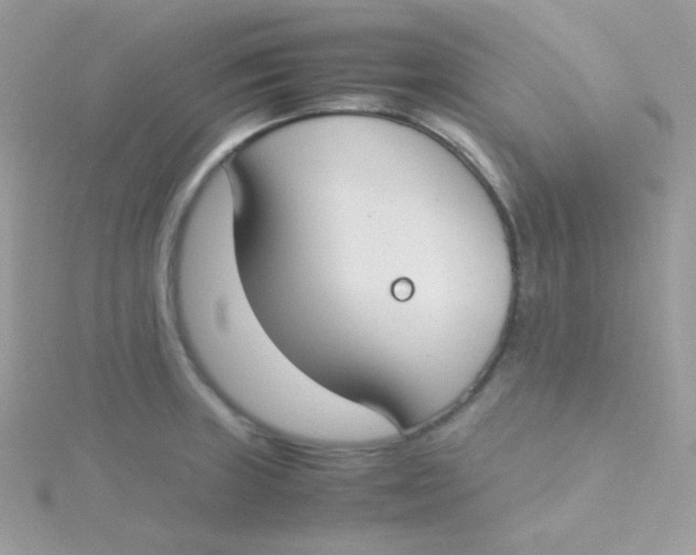 X0000115501235200911271403